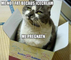 Me not fat becaus icecream me pregnant